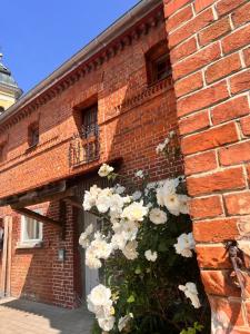a bunch of white flowers on the side of a brick building at Adler Stetten ob Lontal in Niederstotzingen
