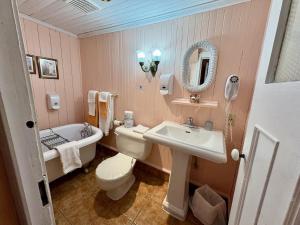a bathroom with a sink and a toilet and a tub at Maison Hovington in Tadoussac