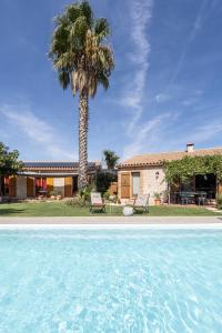 a palm tree and a house with a swimming pool at Mas Cairou in Sorède