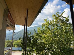 a view of a tree and mountains from a building at Nikola apartment ambrolauri in Ambrolauri