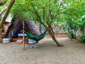 a man laying in a hammock under a tree at Arusha Jua Eco Home- on coffee farm in Arusha