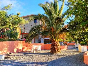 a palm tree in front of a house at Lavillafortuna in Casa Pantano
