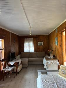 a living room with a couch and a tv at Real Holidays Antoniadou - Rustic House in Elaiokhórion