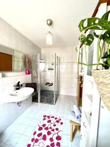 a bathroom with a shower and a sink at Lichte Wohnung zum Wohlfühlen in Bastheim +35 photos