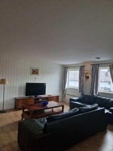 a living room with two couches and a coffee table at Trysil sentrum apartment in Trysil +16 photos