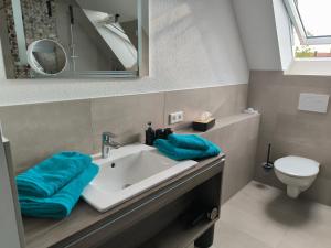 a bathroom with a sink and a toilet at Landgasthaus Jägerhof in Absberg +25 photos