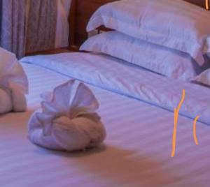 a flower sitting on top of a bed at Mtomo vision in Mtwapa