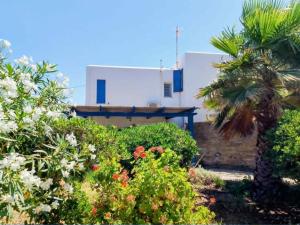 a house with a palm tree and some bushes at Serenity Maisonnette in Otziás +92 photos