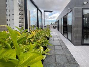 a row of plants on the side of a building at Hub by Hosppedar in Cabedelo