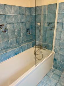 a bathroom with a shower with blue tiles at Casa d'Eva in Pont-en-Royans
