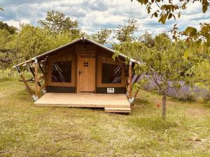 a small wooden hut in a field of grass at Vulture Glamping in Melfi
