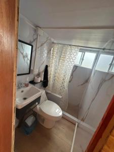 a small bathroom with a toilet and a sink at Dyl Tiny House con Jacuzzi in Puerto Montt