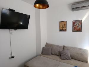 a living room with a couch and a flat screen tv at Cozy 5 in Belgrade