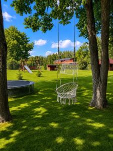 a swing in a park with a playground at Marių įlanka camping in Marijampolė