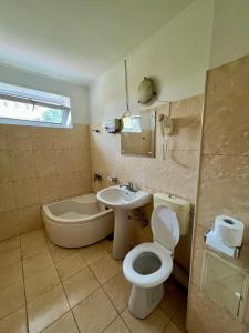 a bathroom with a toilet and a sink and a tub at Vila Randunica in Eforie Sud