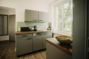 a kitchen with a sink and a bowl on a counter at Villa Medicus in Dessau +31 photos