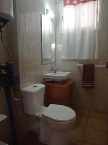 a bathroom with a white toilet and a sink at villaislandia in Oropesa del Mar