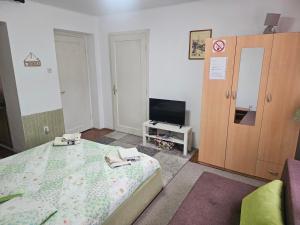 a small bedroom with a bed and a television at New apartment Old town 2 in Sarajevo