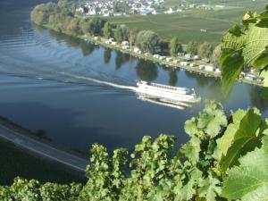 a boat on a river with a town in the background at Ferienweingut Haus Christa in Briedern