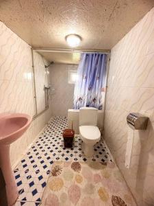 a bathroom with a toilet and a sink at NURDAN Guest House Barskoon in Barskoon +36 photos