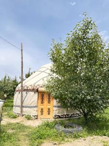 a yurt with a tree in front of it at NURDAN Guest House Barskoon in Barskoon