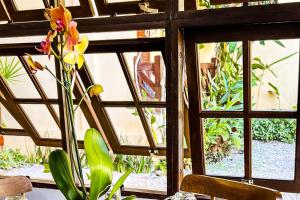 a flower in a vase in front of a window at VELINN Pousada Recanto dos Tangaras in Juquei +29 photos
