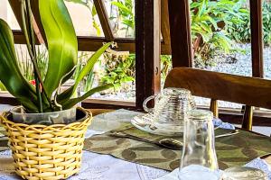 a table with a plant in a basket on a table at VELINN Pousada Recanto dos Tangaras in Juquei