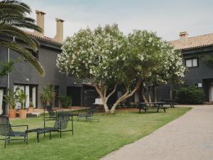 a group of benches sitting in the grass in front of a building at Hotel Es Blau Des Nord in Colonia de Sant Pere