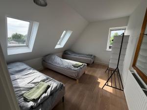 a bedroom with two beds and two windows at 24 h chek in big house in Copenhagen