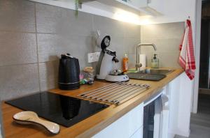 a kitchen counter with a mixer and a sink at L'Obernai in Obernai