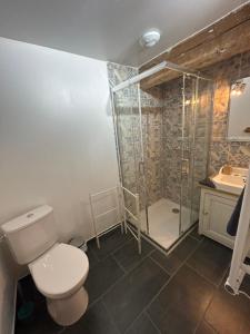 a bathroom with a toilet and a shower at Chambres d'hôtes de l'encabanée in Saint-Paul +21 photos