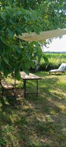 a picnic table and a chair under a tree at Bauwagen Fridolin in Restorf