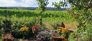 a garden with colorful flowers in a field at Bauwagen Fridolin in Restorf