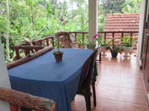 a blue table in a room with potted plants at Ranga Villa in Hikkaduwa +47 photos