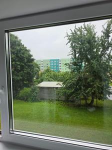 a window view of a yard with a tree at Retrokodu in Rakvere