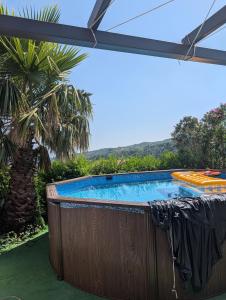 a swimming pool in a backyard with a palm tree at Casa Malù in SantʼAlfio