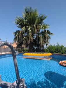 a swimming pool with an inflatable raft in front of a palm tree at Casa Malù in SantʼAlfio