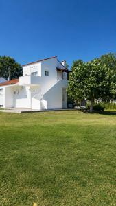 a white house with a tree in a field at Villa Elena in Ormos Panagias