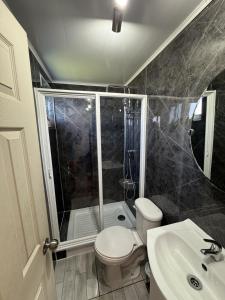a bathroom with a shower and a toilet and a sink at Casa Miramar in Quellón