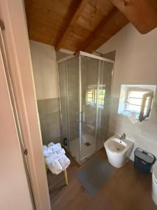 a bathroom with a shower and a sink at Casa vacanza Marco in Vagliano