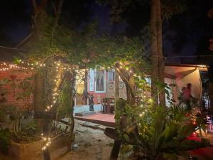 a house with lights in the yard at night at Angry birds rooms in Habarana