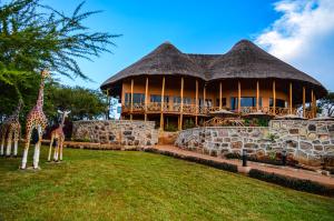 two giraffes standing in front of a building at Maasai ecoLodge in Karatu
