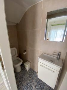 a bathroom with a toilet and a sink and a mirror at Villa Elena in Ormos Panagias +34 photos