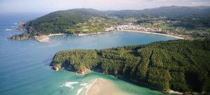 an aerial view of a small island in the ocean at Agasallo Cedeira in Cedeira