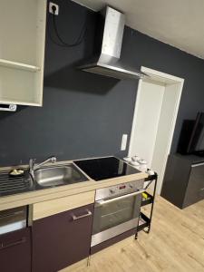 a small kitchen with a sink and a stove at BaumTraum in Fürthen
