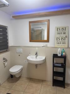 a bathroom with a toilet and a sink and a mirror at BaumTraum in Fürthen +11 photos