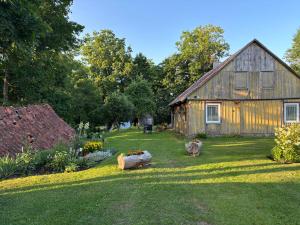 an old barn and a cat in a yard at Stovyklavietė Dauba in Šyliai +18 photos