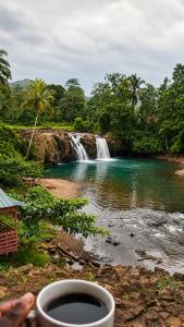 a cup of coffee in front of a waterfall at Cascata- Pousada Encanto Do Mar in Santa Irene