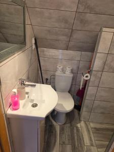 a bathroom with a white sink and a toilet at Domek Rosa in Bachlowa +12 photos