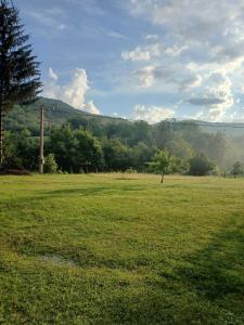 a field of grass with a tree in the distance at Vikendica ZORA in Foča +2 photos